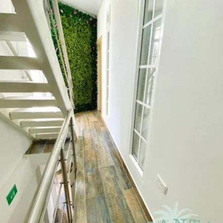 Alojamiento Santa Julia San Andrés Extérieur photo